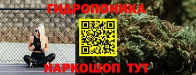 дурь Пугачёв