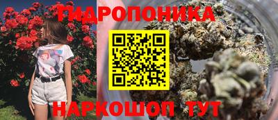 гидра Пыть-Ях
