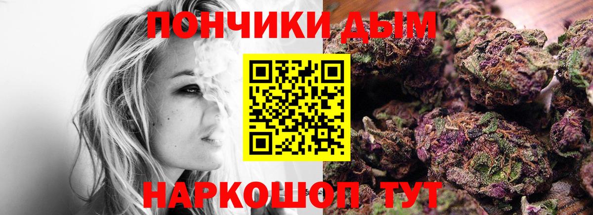 Конопля сатива Печора